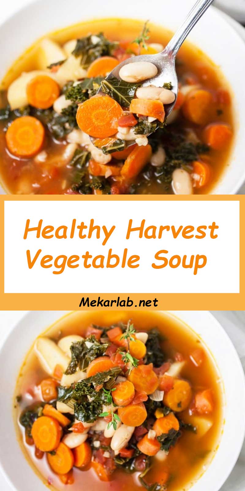 Healthy Harvest Vegetable Soup 
